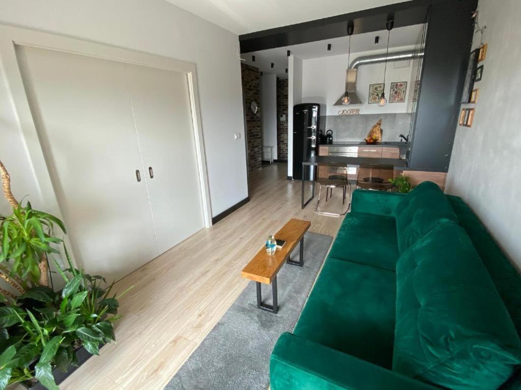 Apartament Nad Wisla Krakow Dış mekan fotoğraf